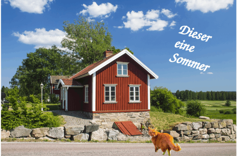 Dieser eine Sommer: Mein Roman-Debüt – ein Überblick